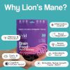 Brain Food Mushroom Gummies