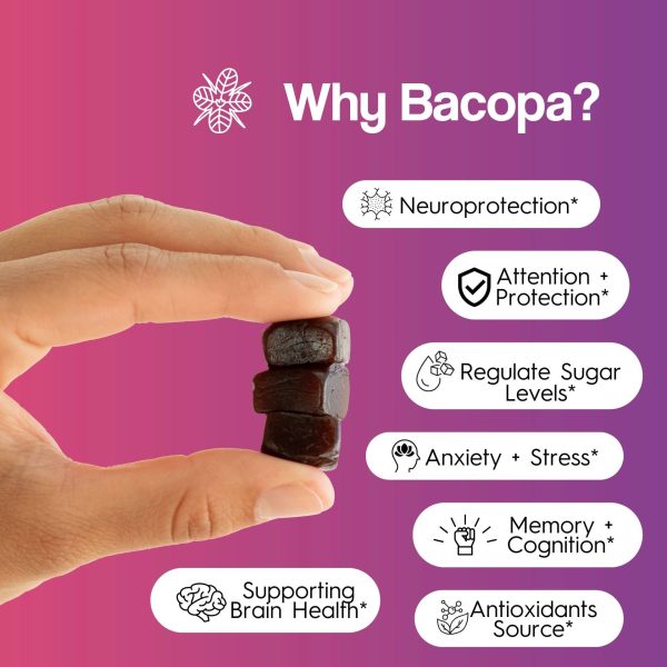 Brain Food Mushroom Gummies